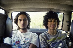 Boogarins