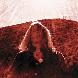 ty segall